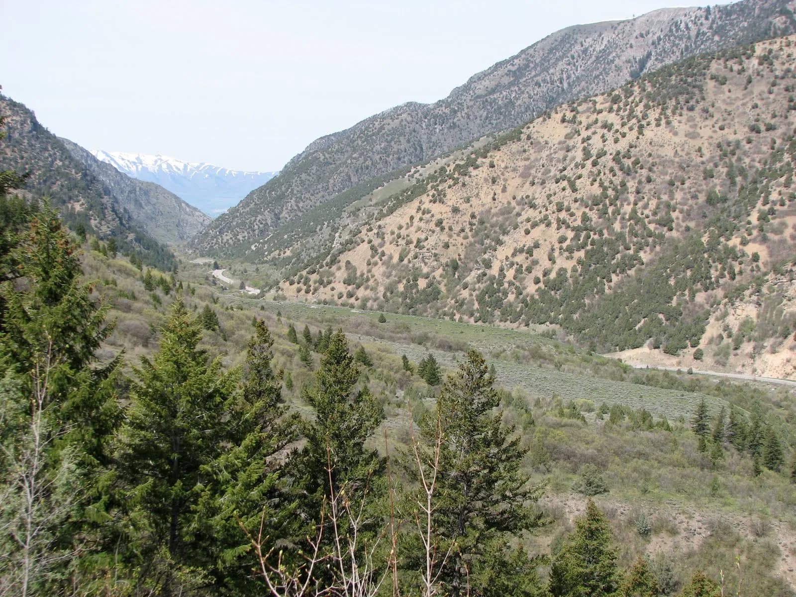 Mountain terrain in Cache National Forest, northern Utah