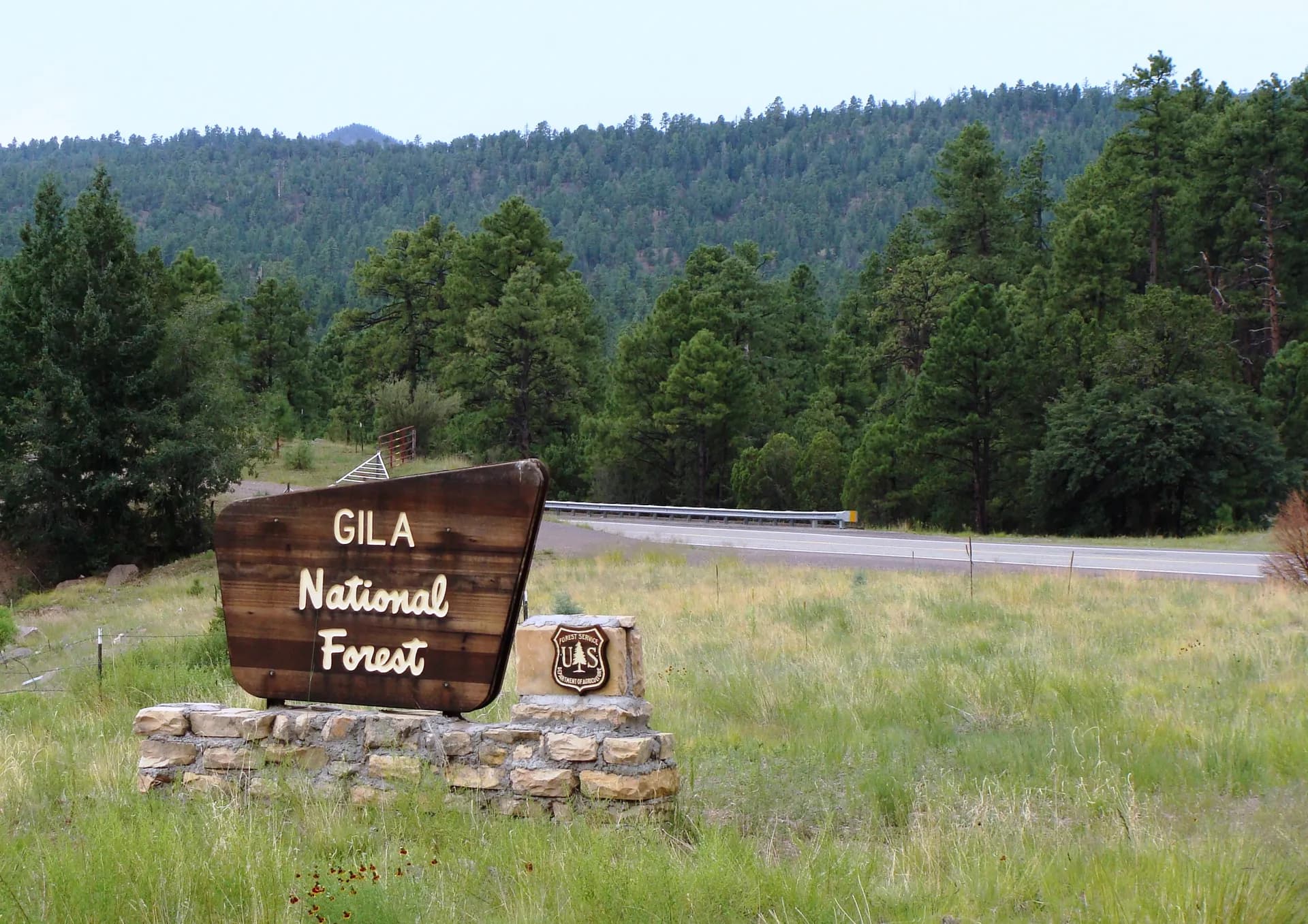 Rugged canyon and ponderosa pine landscape in Gila National Forest, New Mexico