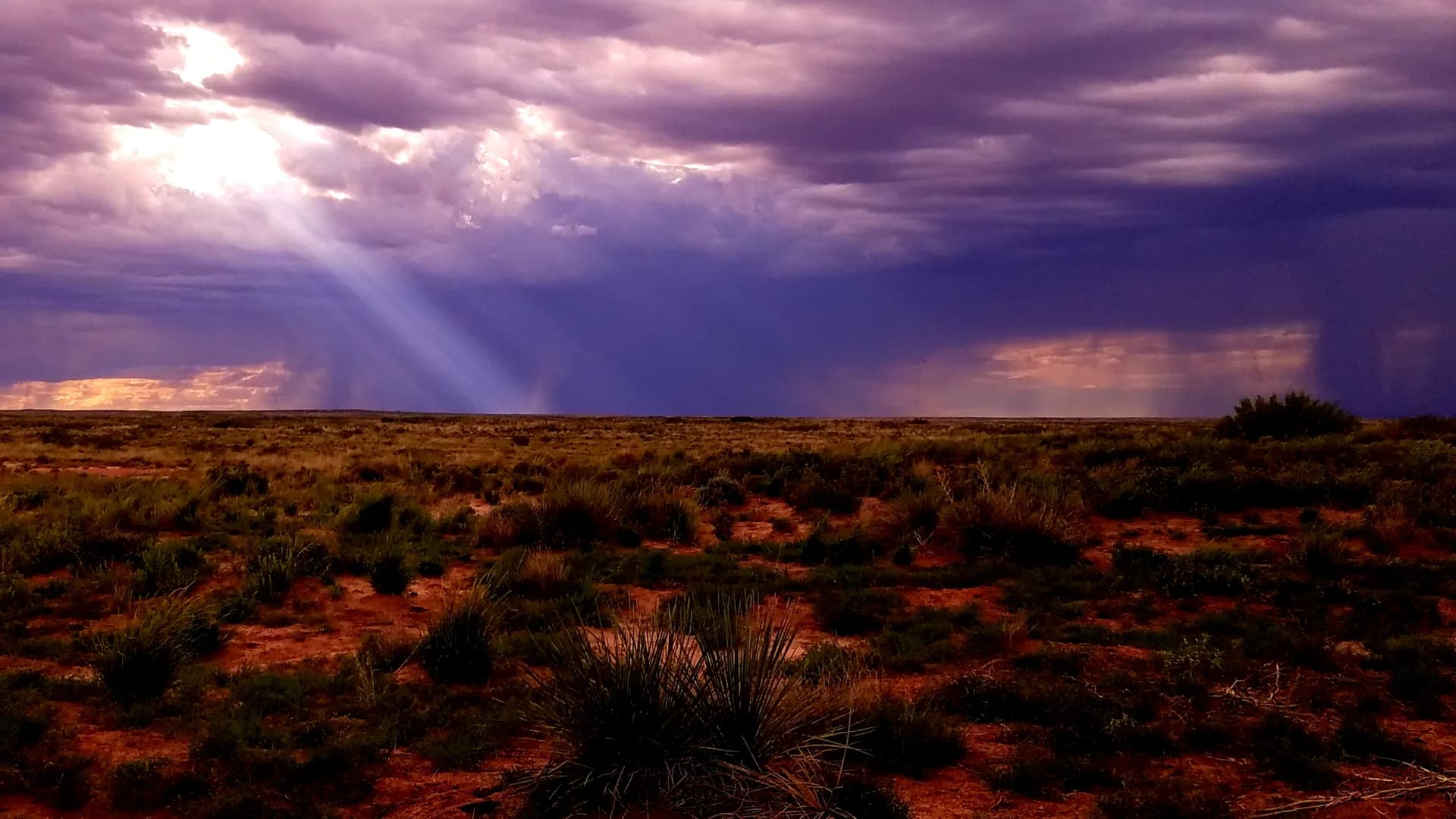 Summer thunderstorm clouds building over Lincoln National Forest, New Mexico