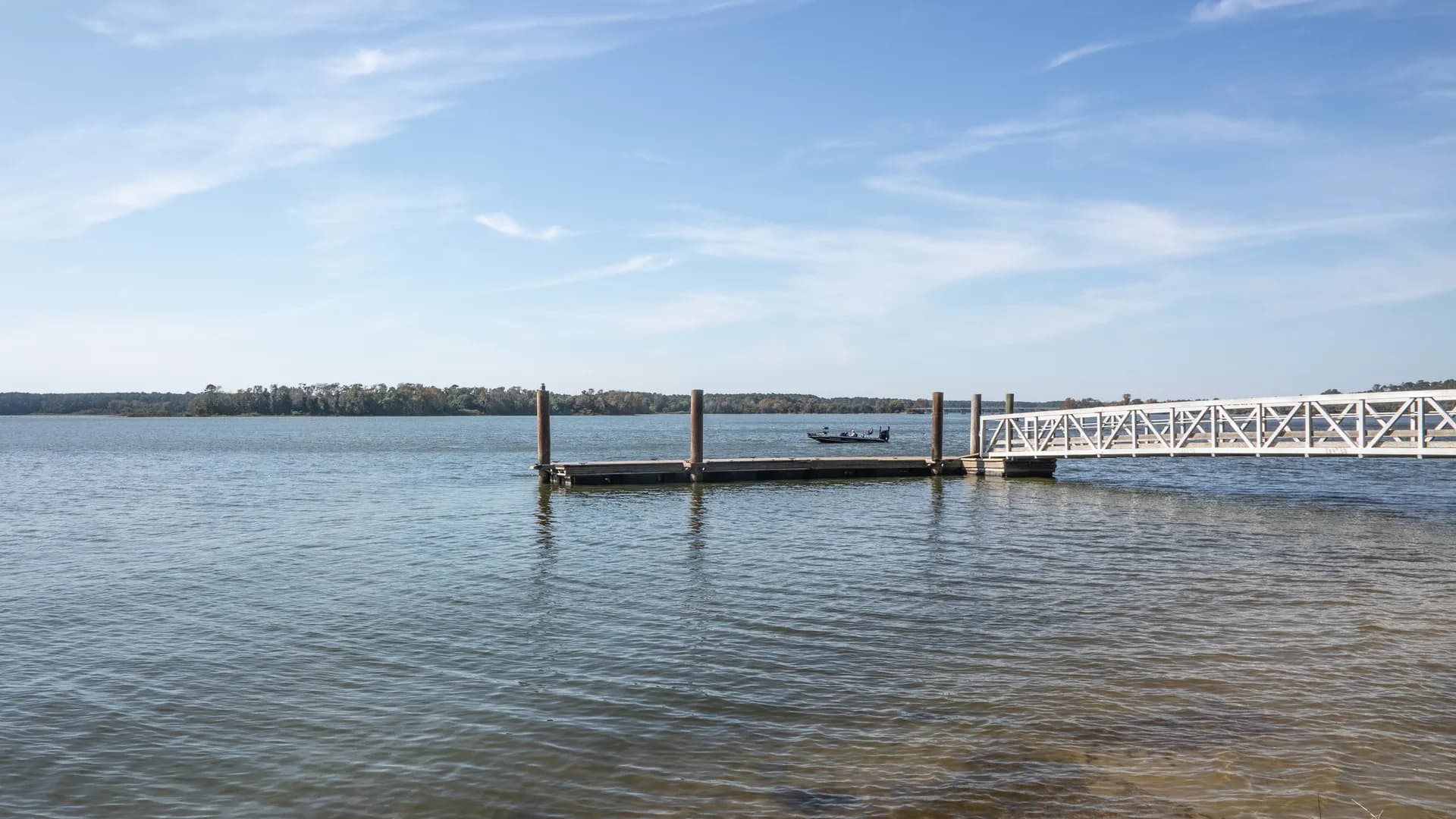 Lake Conroe shoreline with pine forest in Sam Houston National Forest, Texas