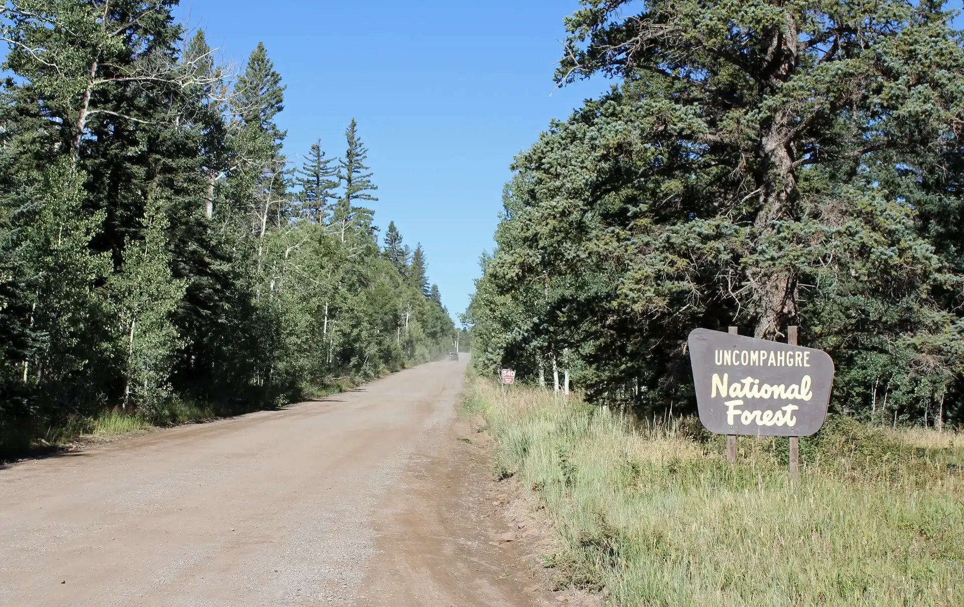 Uncompahgre Peak rising above the national forest, Colorado