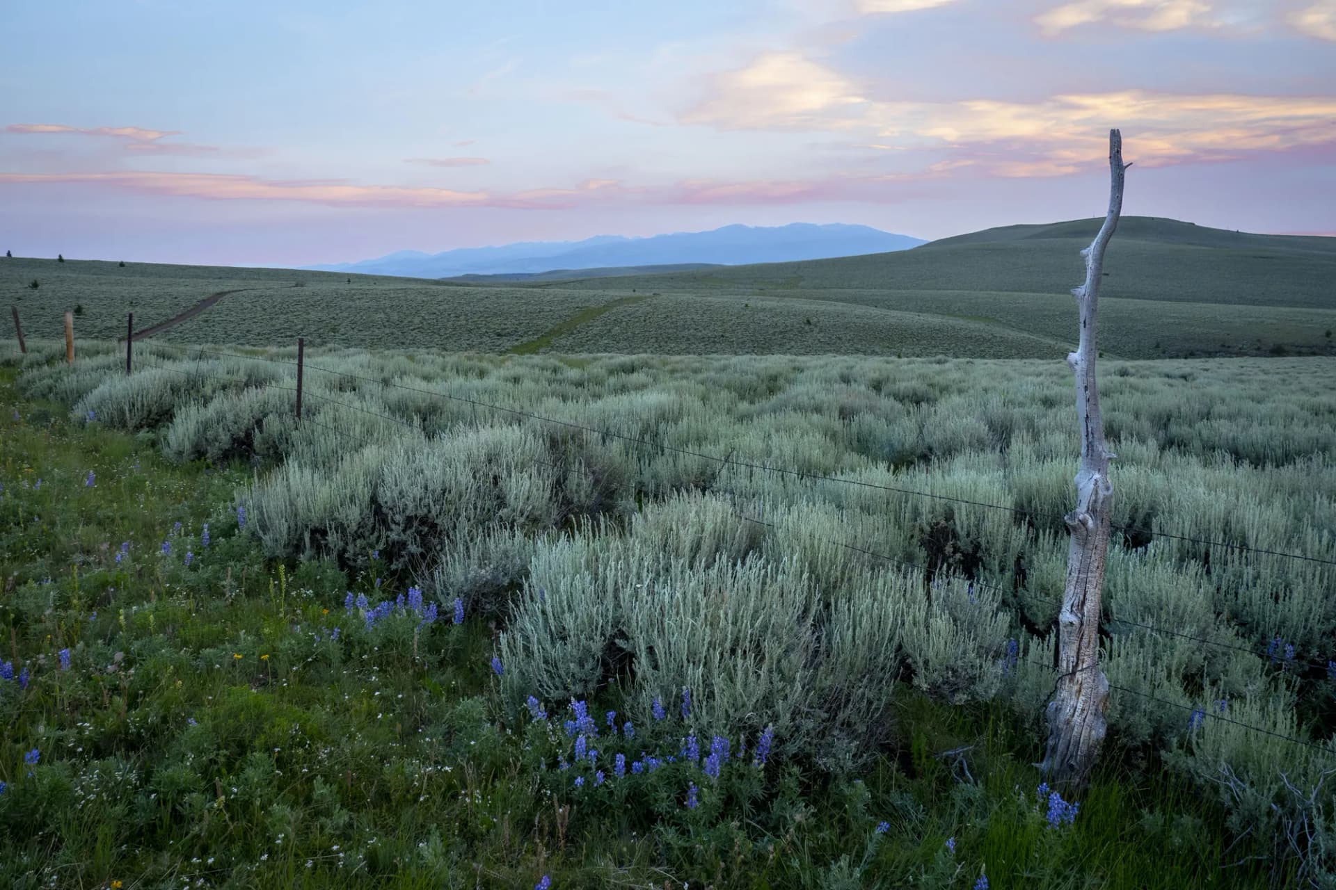 Morning view of the Gravelly Range across open meadows in Beaverhead-Deerlodge National Forest, Montana