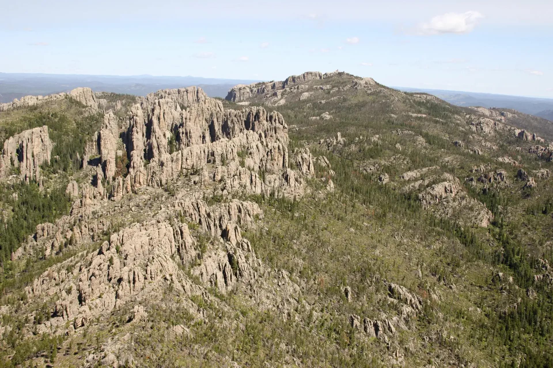 Aerial view of Black Elk Wilderness with dense ponderosa pine forest covering granite peaks, Black Hills National Forest, South Dakota