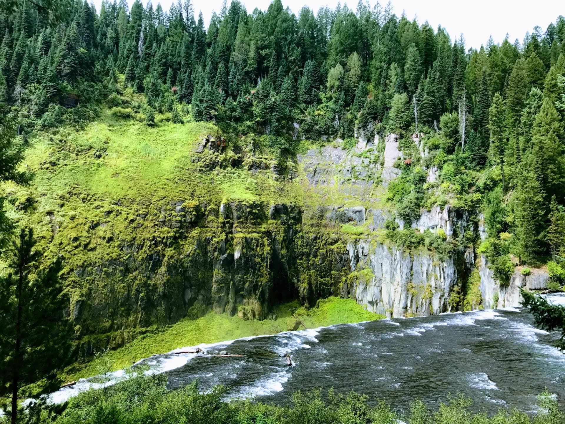 Upper Mesa Falls cascading over a basalt ledge surrounded by lush green forested cliffs, Caribou-Targhee National Forest, eastern Idaho