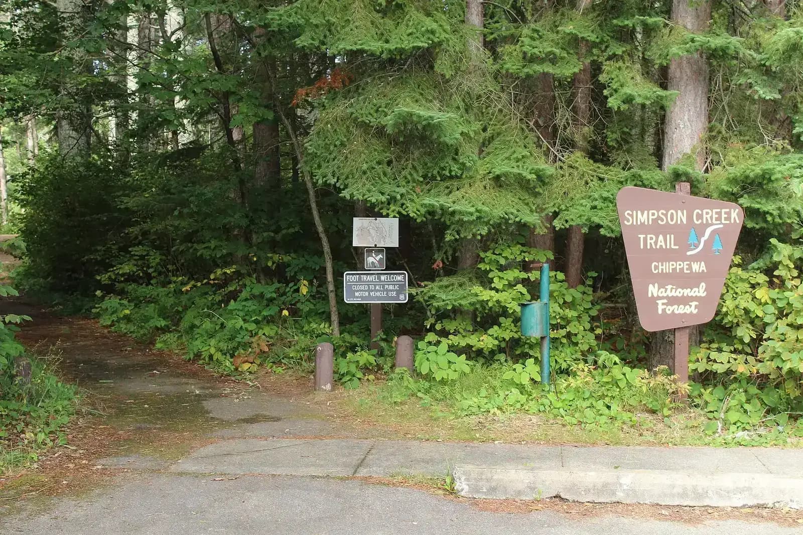 Simpson Creek Trail through mixed forest near Cut Foot Sioux in Chippewa National Forest, Minnesota