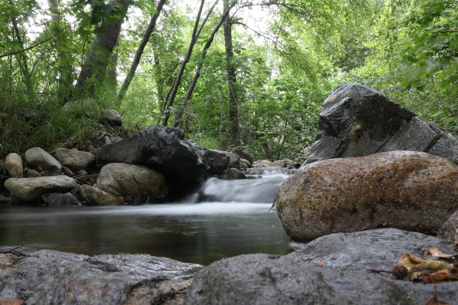 Trabuco Creek flowing through riparian habitat with chaparral-covered hillsides, Cleveland National Forest, southern California