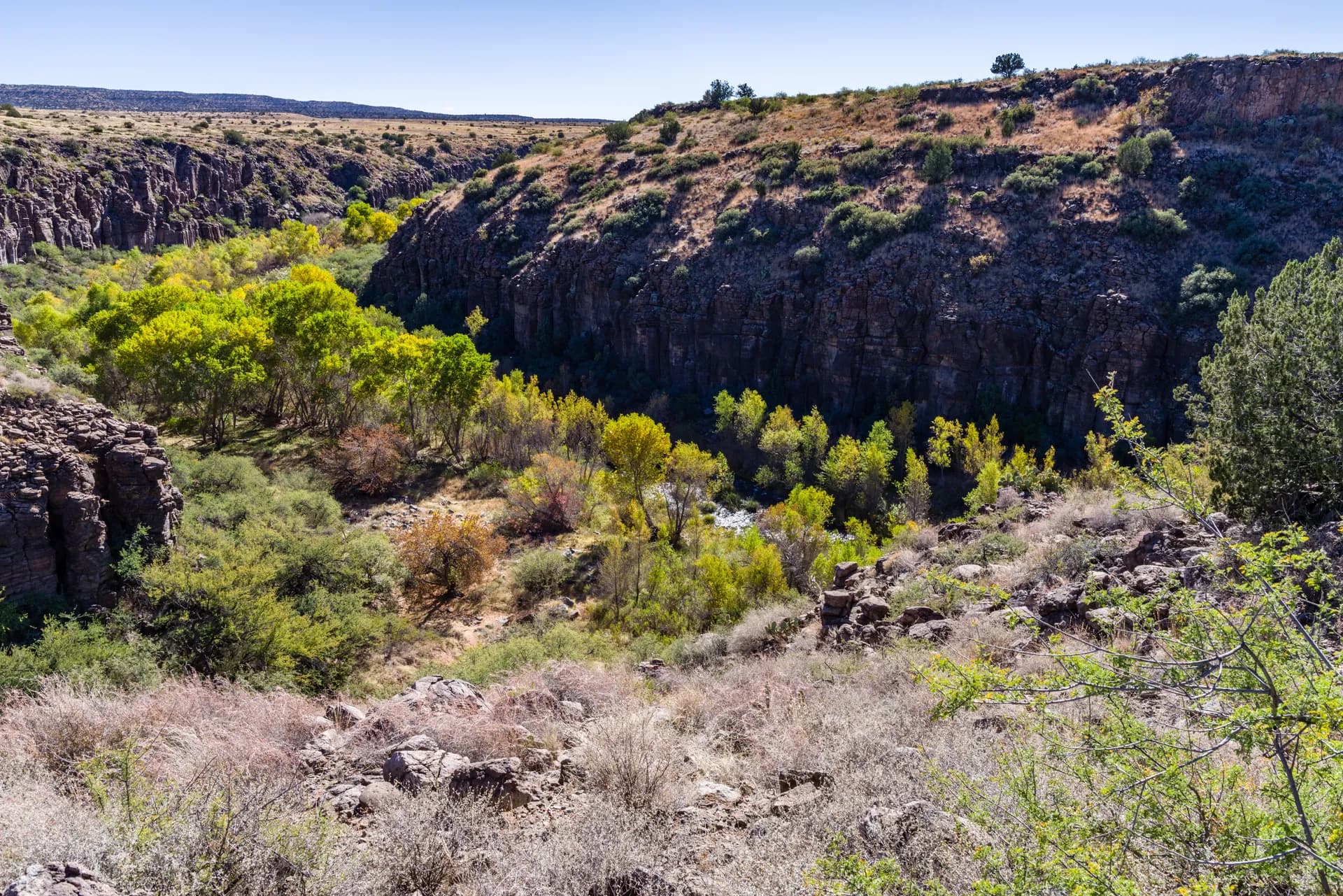 Fall color along the Verde Wild and Scenic River in Coconino National Forest, Arizona