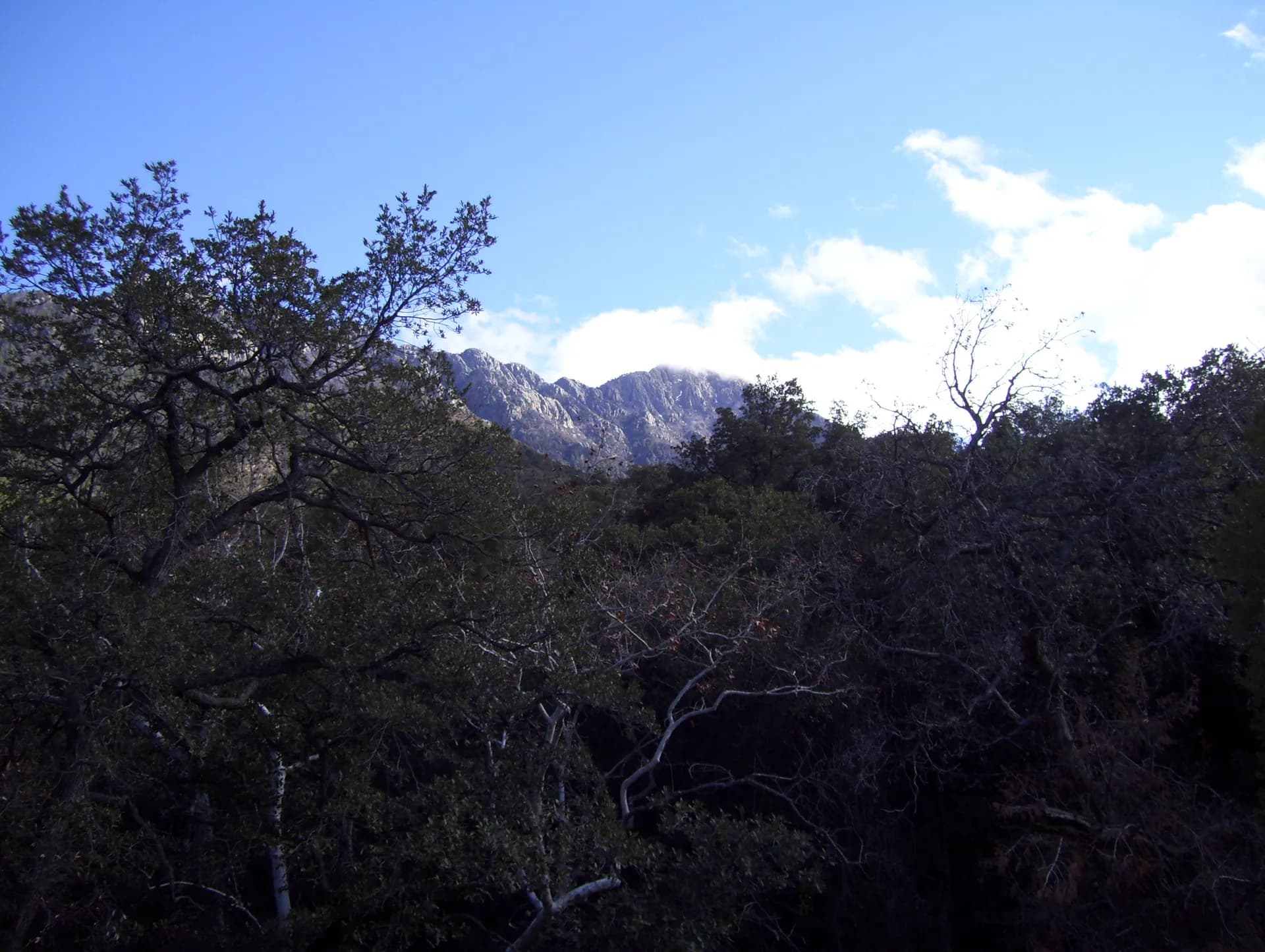 Mount Wrightson rising above Madera Canyon in Coronado National Forest, Arizona