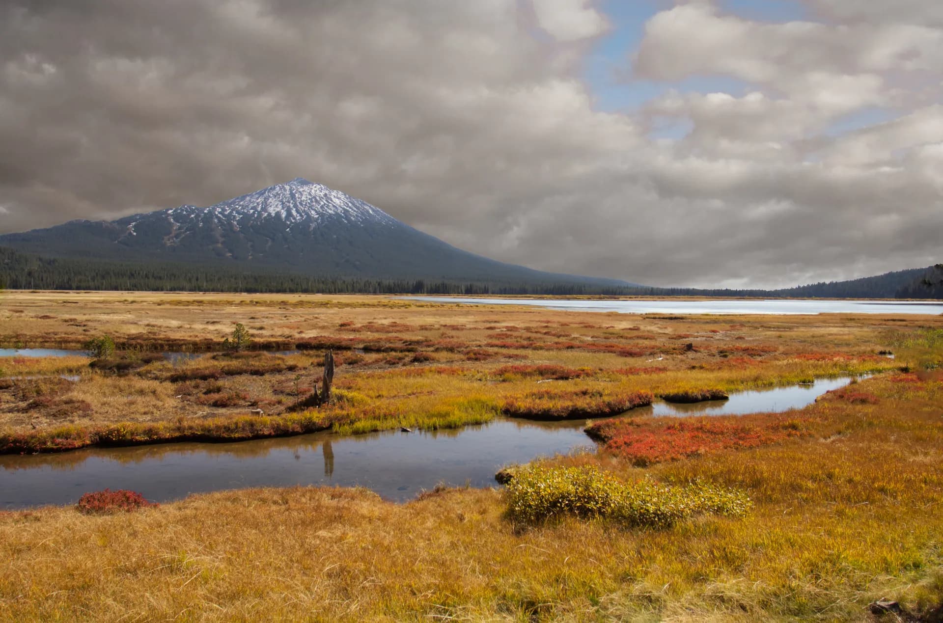 Fall color at Sparks Lake meadow in Deschutes National Forest, Oregon