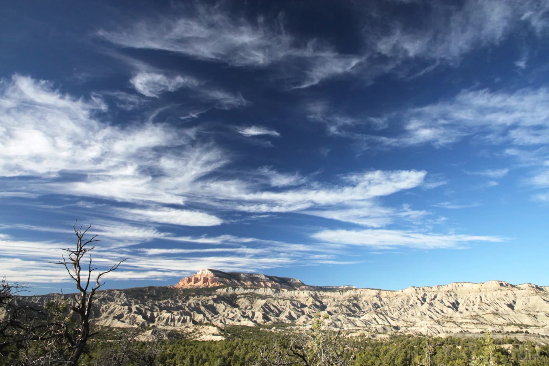 Expansive view of Table Cliffs Plateau with colorful sandstone formations under a blue sky, Dixie National Forest, Utah
