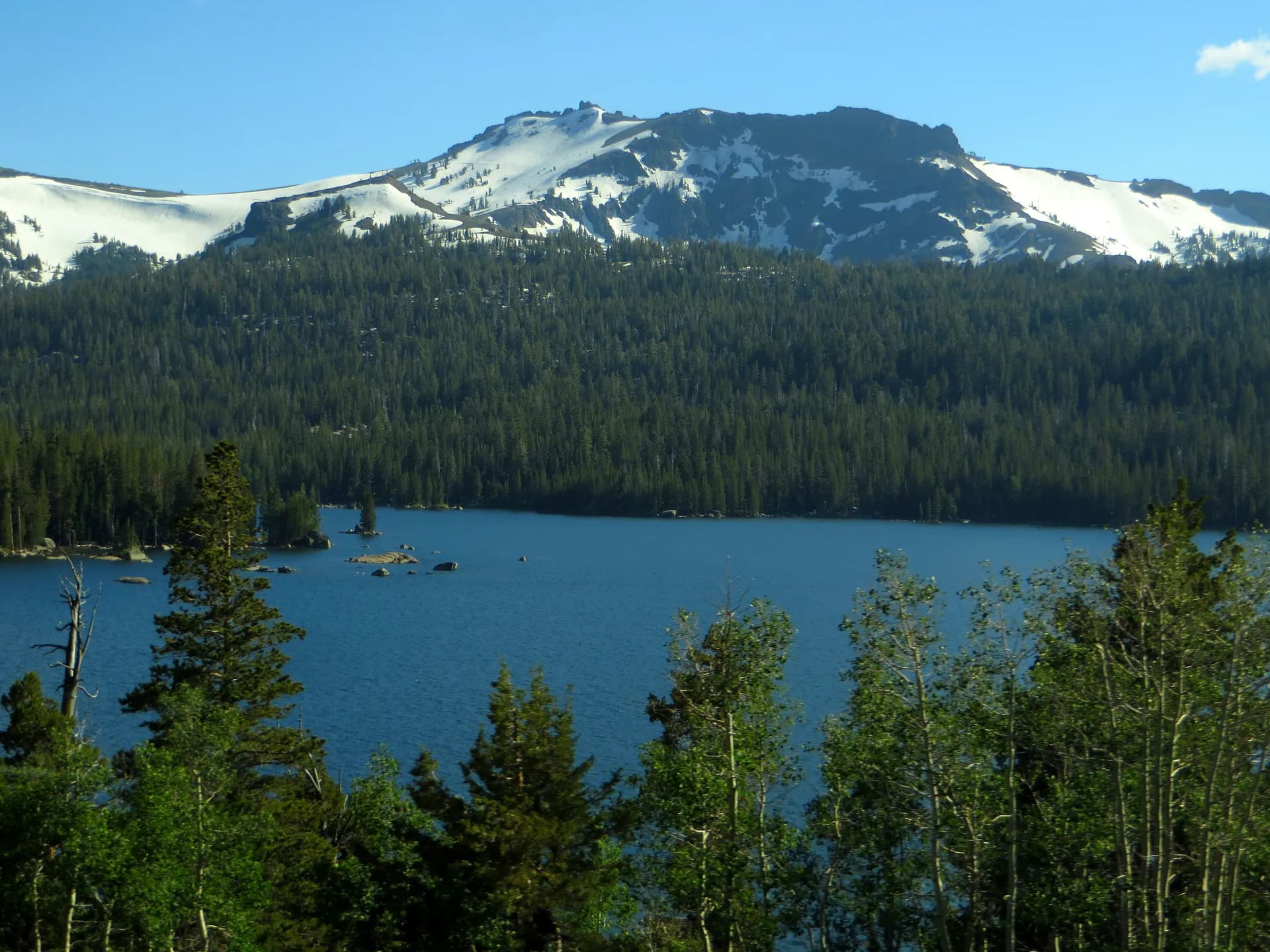 Caples Lake reflecting blue Sierra Nevada sky with dense conifer forest rising to snow-capped Thimble Peak in Eldorado National Forest, California