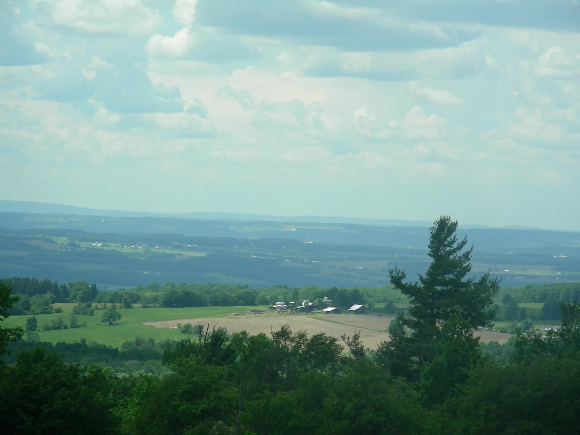 Open meadow and woodland in Finger Lakes National Forest, New York