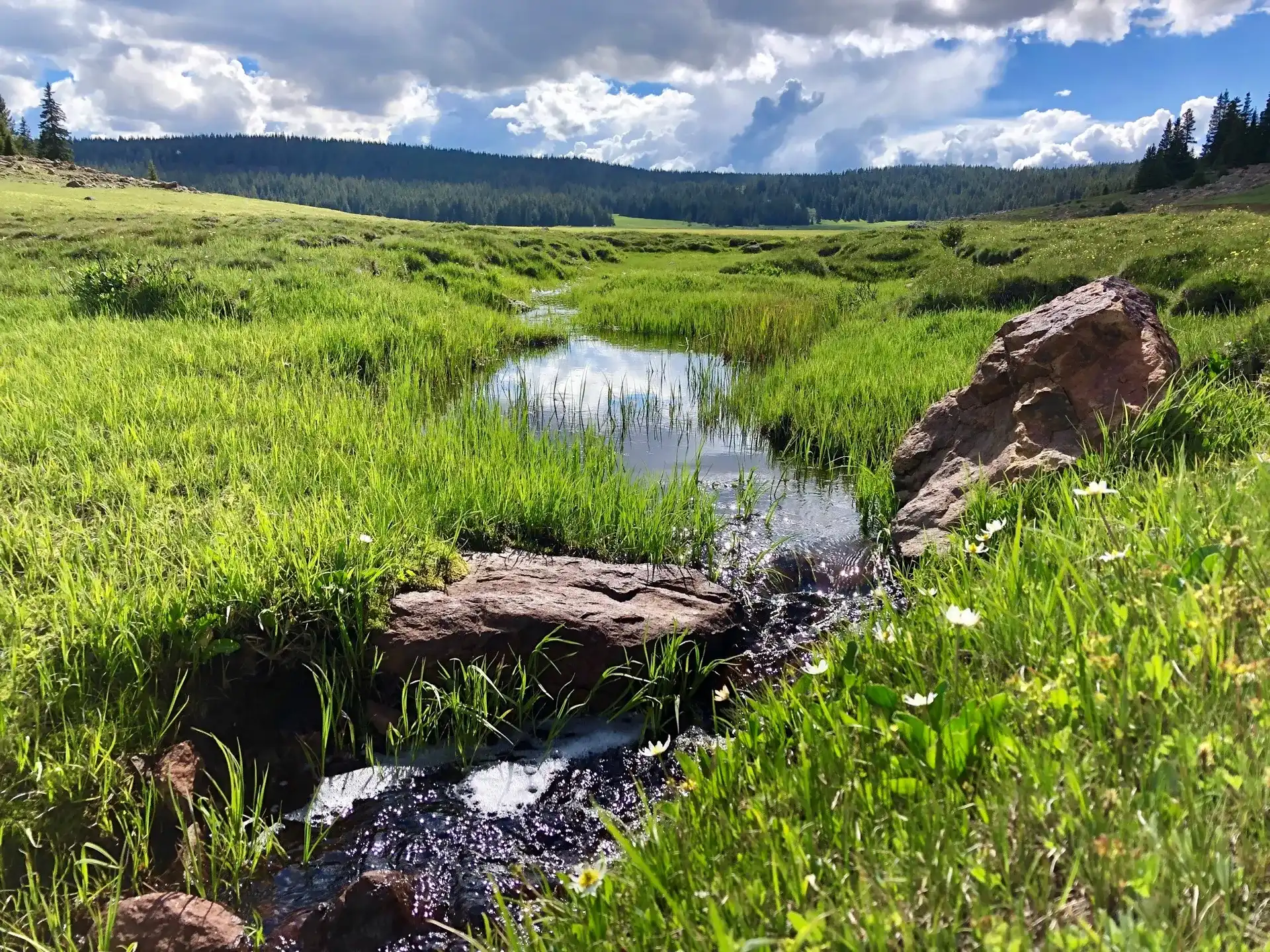 Boulder Mountain in southern Utah in Fishlake National Forest