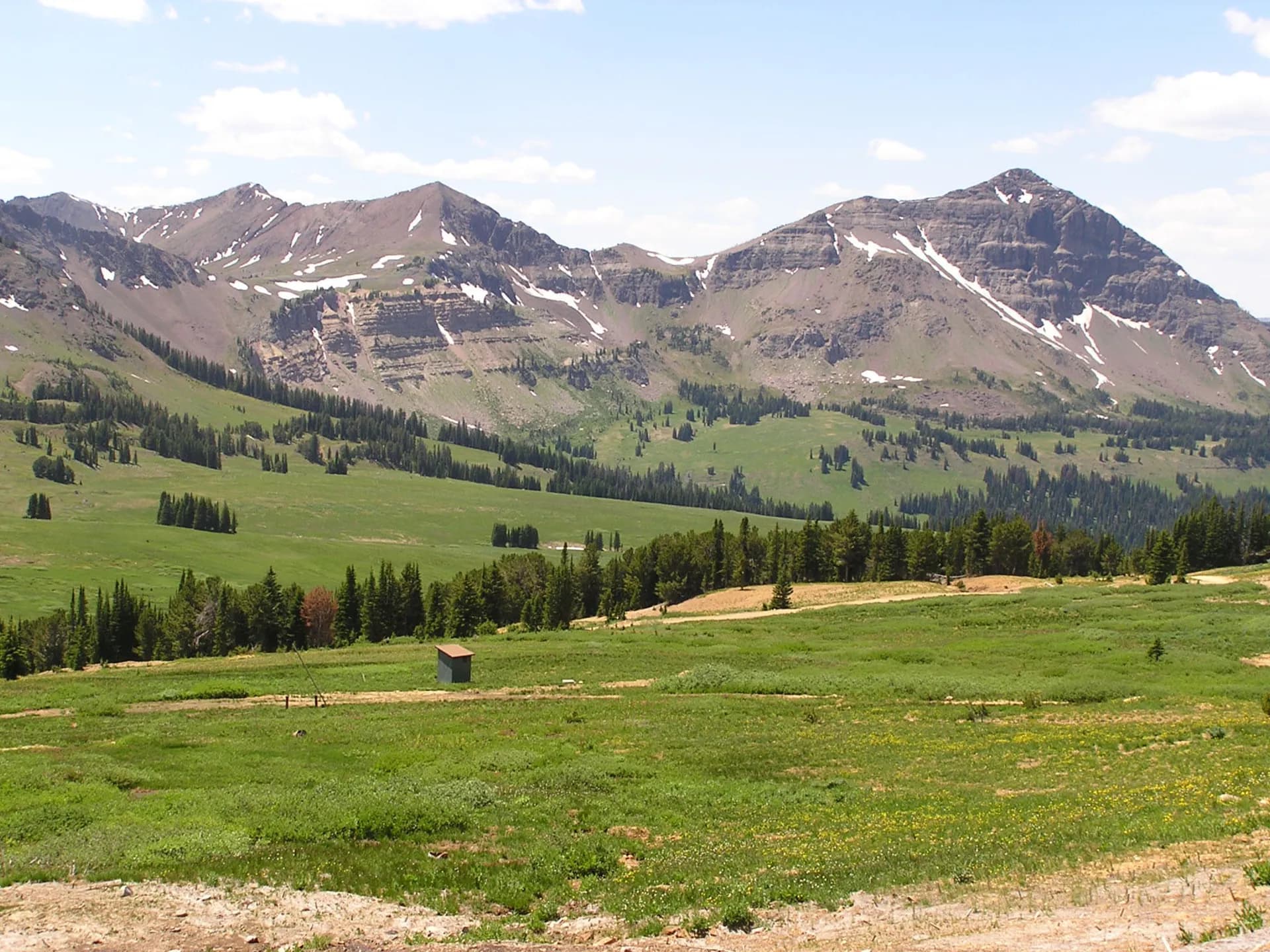 Daisy Pass alpine meadow near Cooke City in Gallatin National Forest, Montana