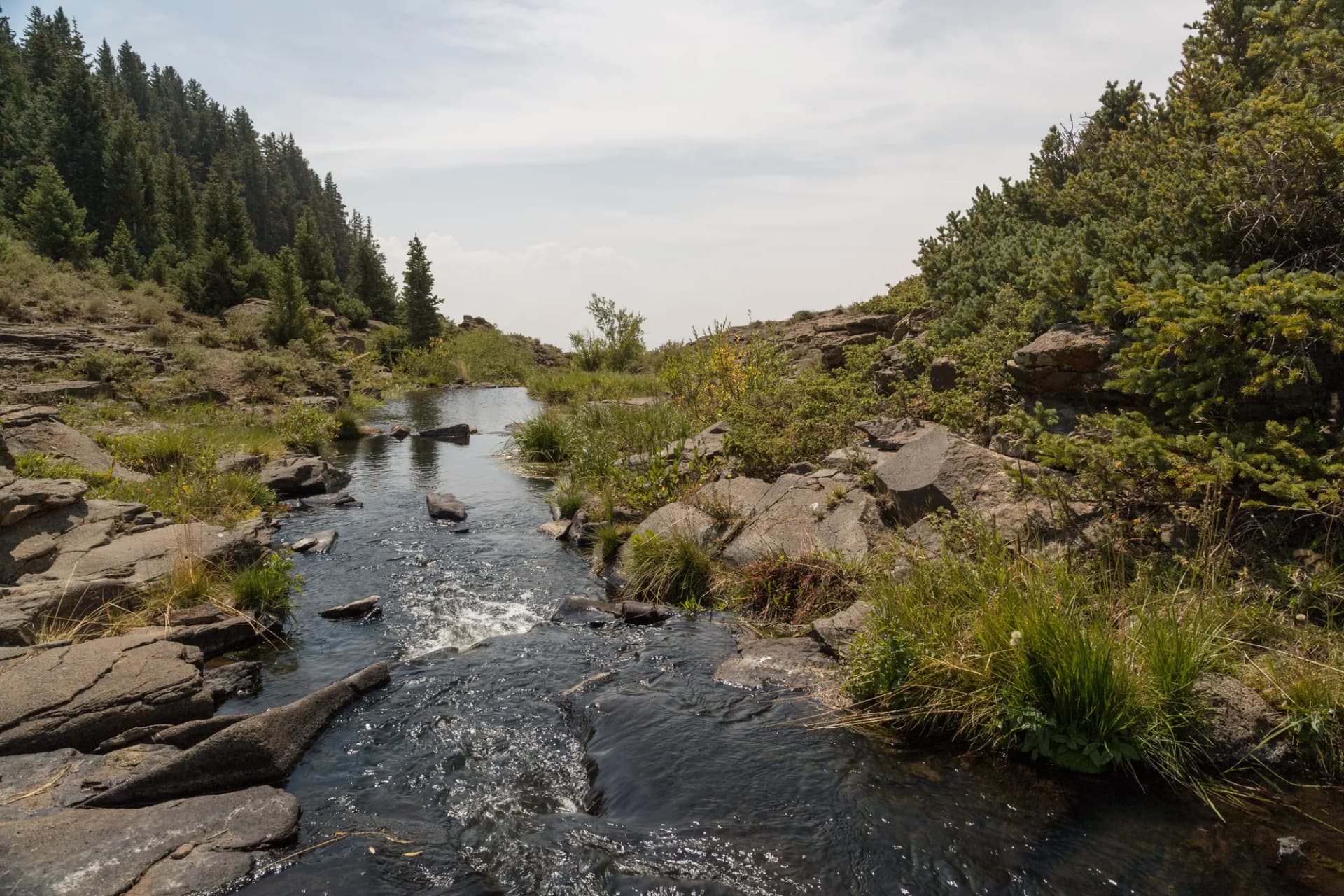 Panoramic view from Lands End on Grand Mesa looking across forested plateau terrain, Grand Mesa National Forest, Colorado