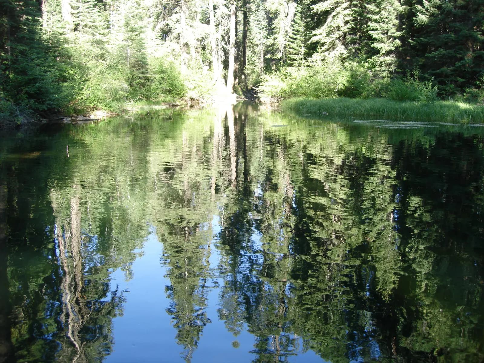 Crystal clear mountain lake reflecting conifer forest in Clear Lake, South Warner Wilderness, Modoc National Forest, northeastern California