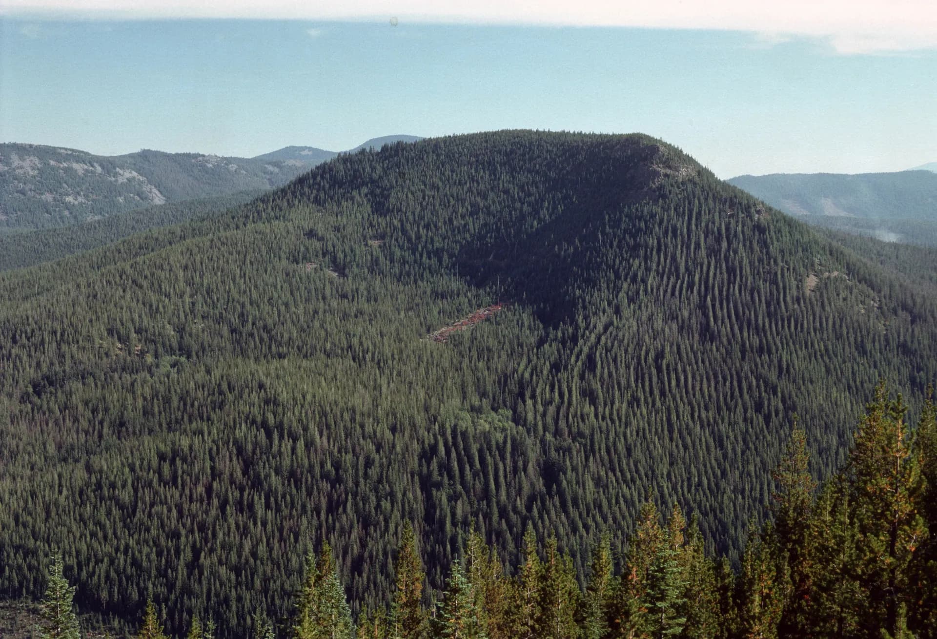 Eureka Peak in Mount Hood National Forest, Oregon