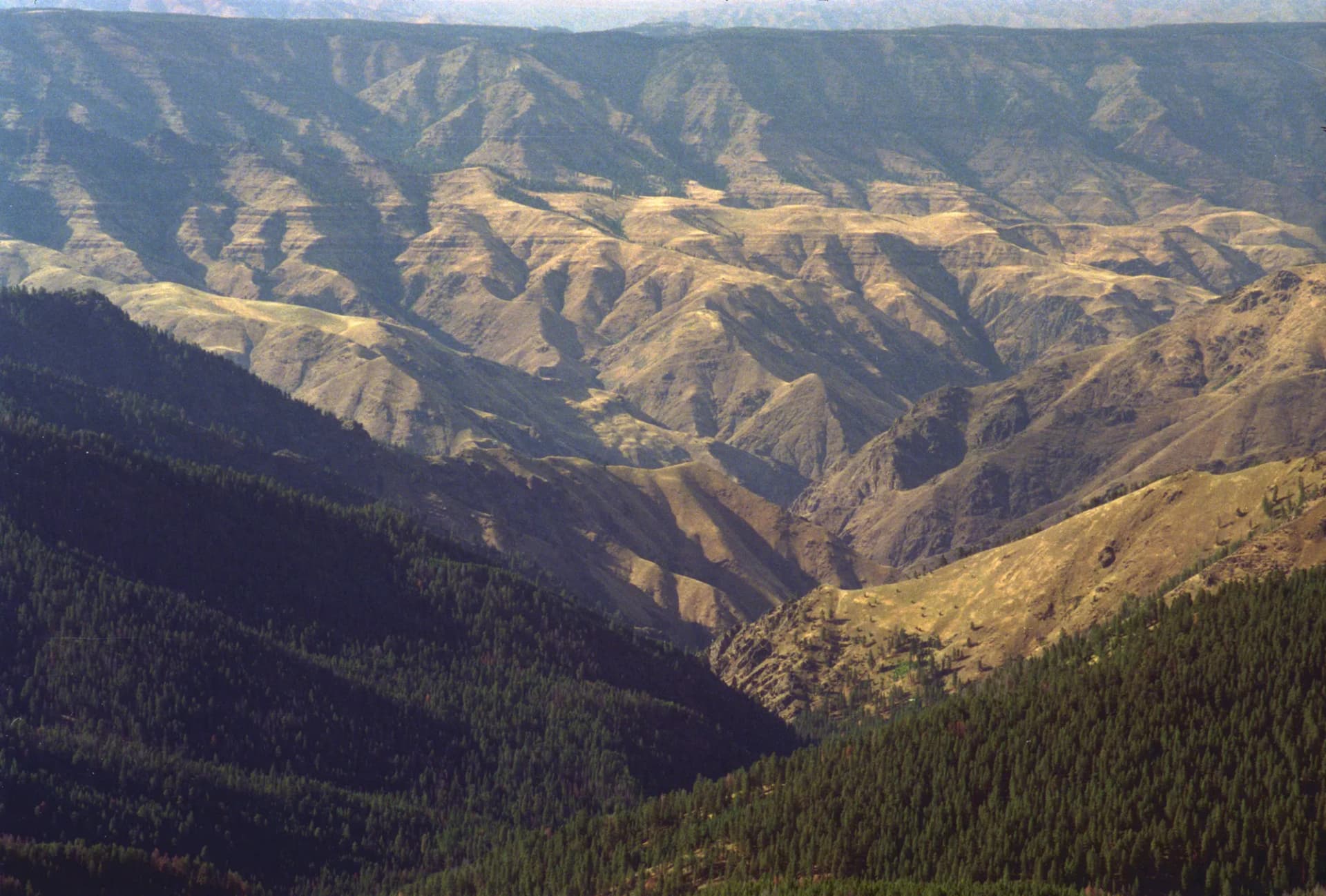 Hells Canyon and the Snake River stretching into the distance from Heaven's Gate Overlook, Nez Perce National Forest, western Idaho