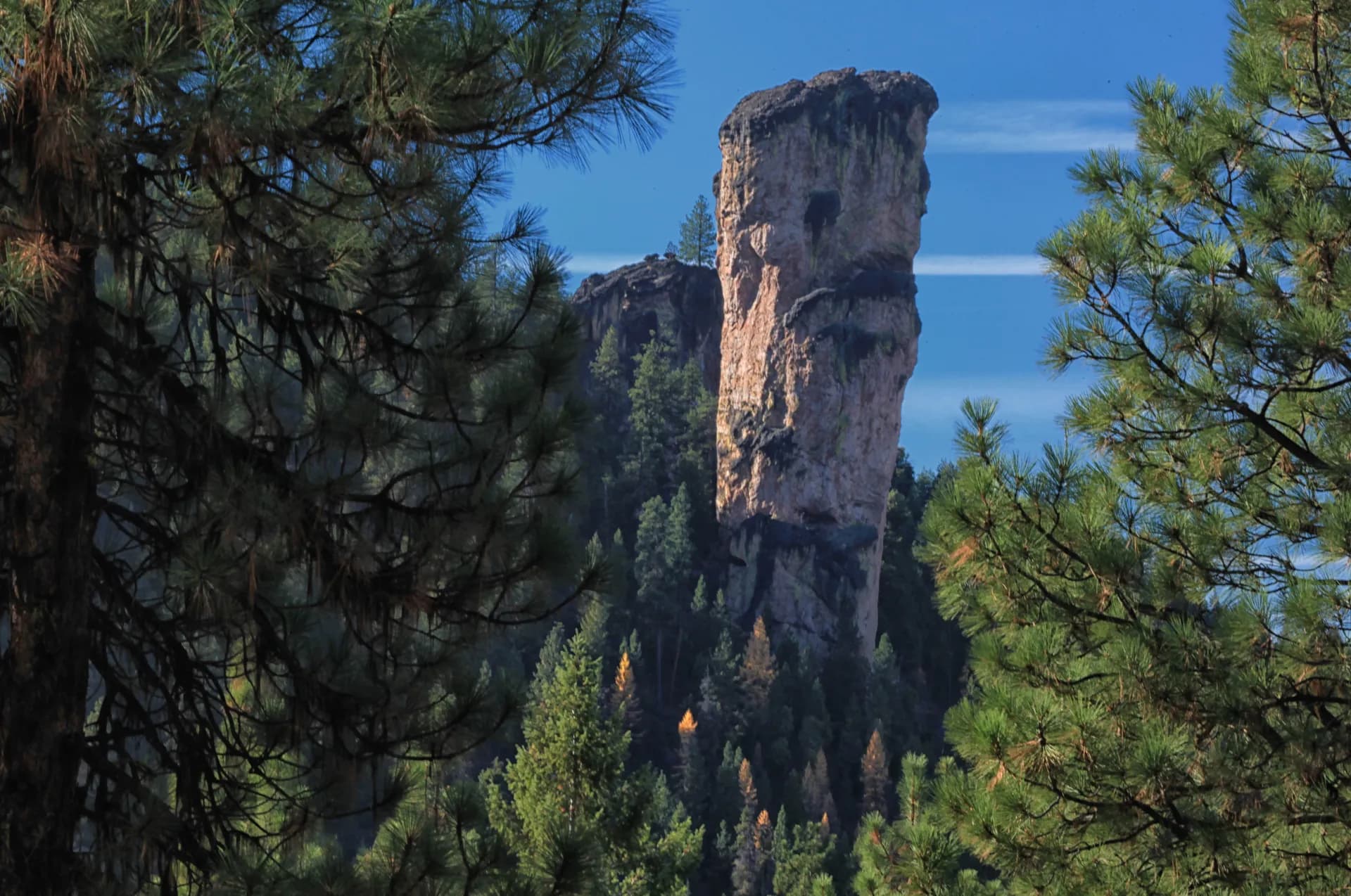 Steins Pillar volcanic rock monolith rising above pine forest in Ochoco National Forest, Oregon