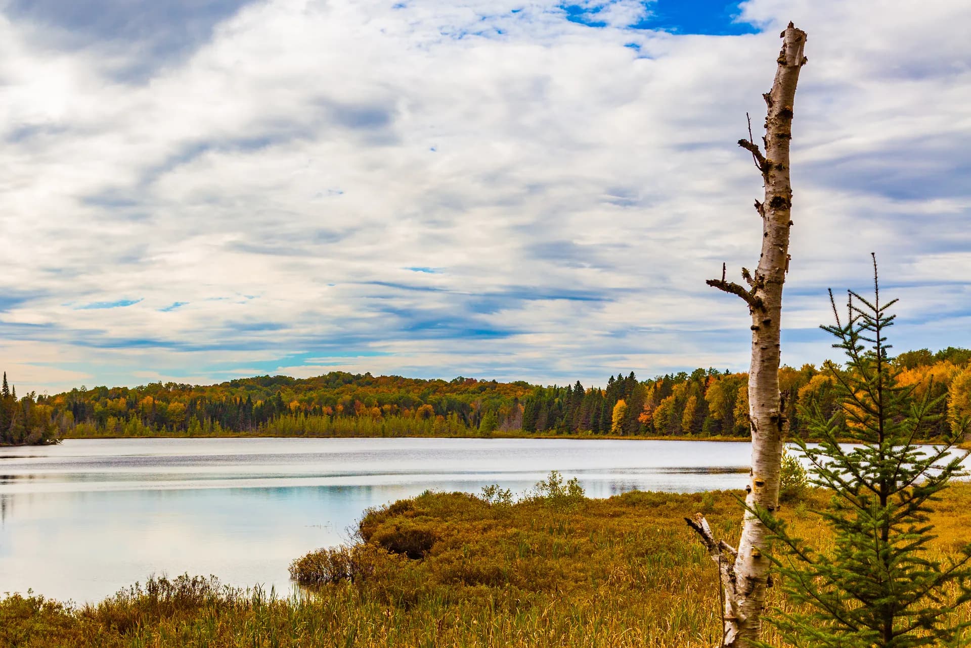 Fall colors surrounding Mink Lake in Ottawa National Forest, Upper Peninsula, Michigan
