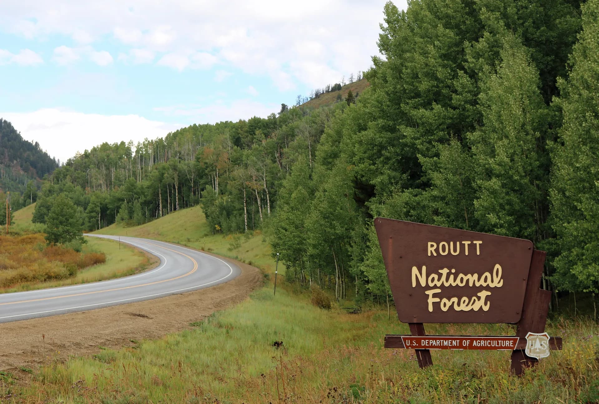 Conifer forest and mountain slopes in Routt National Forest, northwestern Colorado