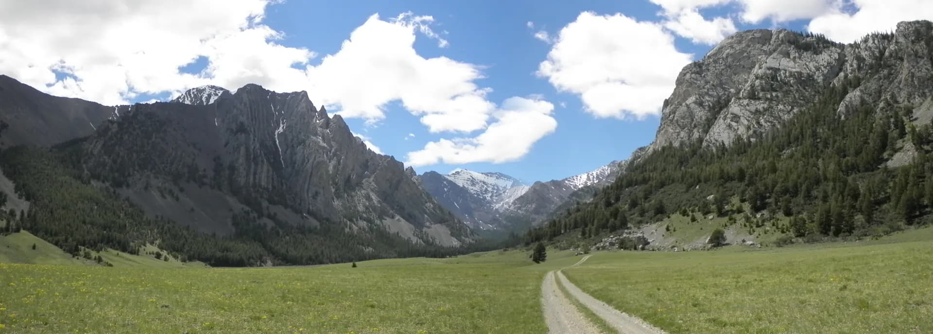 Upper Pahsimeroi mountains in Salmon-Challis National Forest, Idaho
