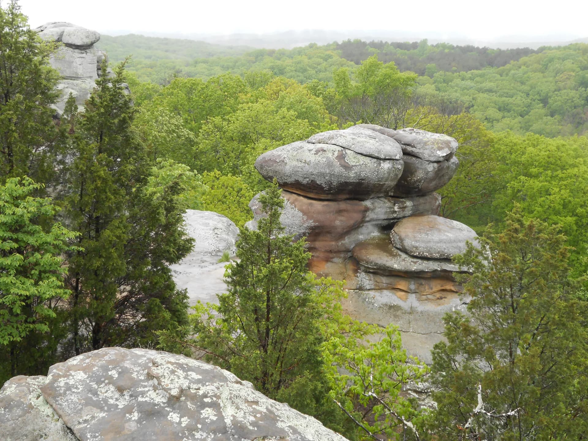 Sandstone rock formations and forest canopy at Garden of the Gods, Shawnee National Forest, Illinois