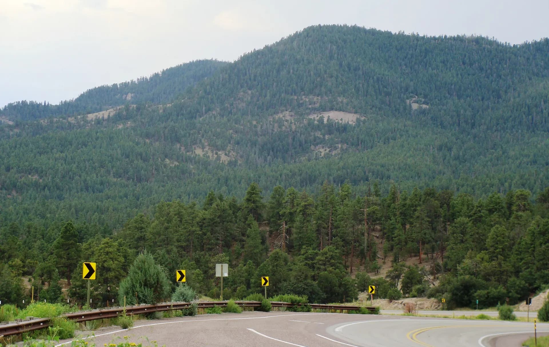 Ponderosa pine and meadow landscape in Sitgreaves National Forest, Arizona