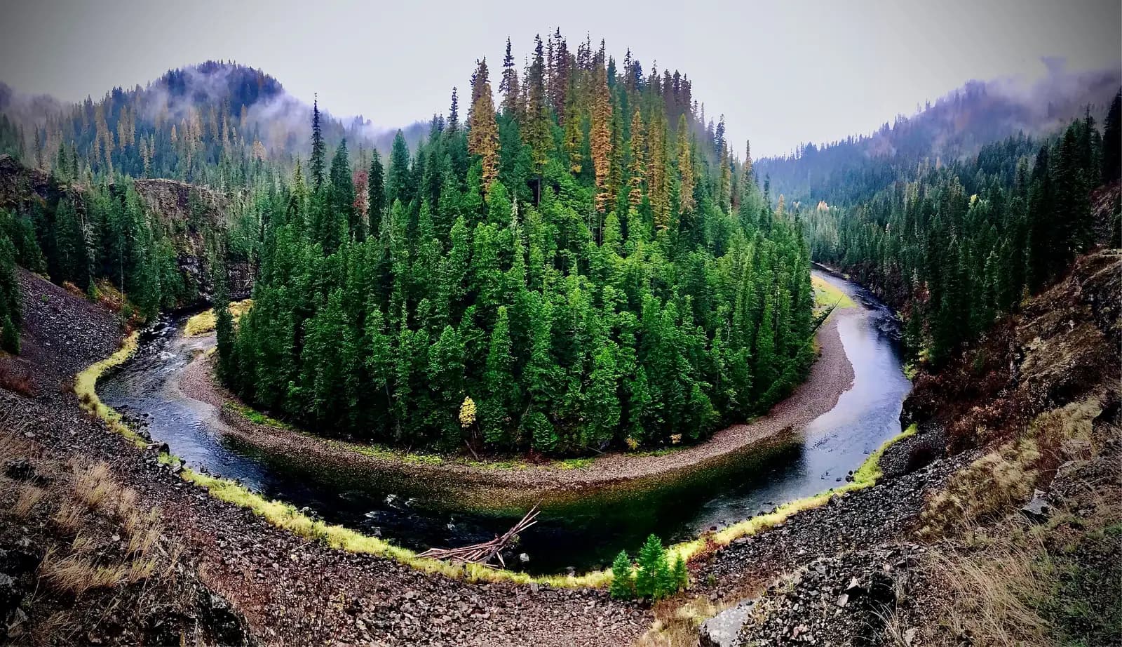 St. Joe River curving through a dense conifer forest in the Idaho Panhandle, with misty mountains rising in the background