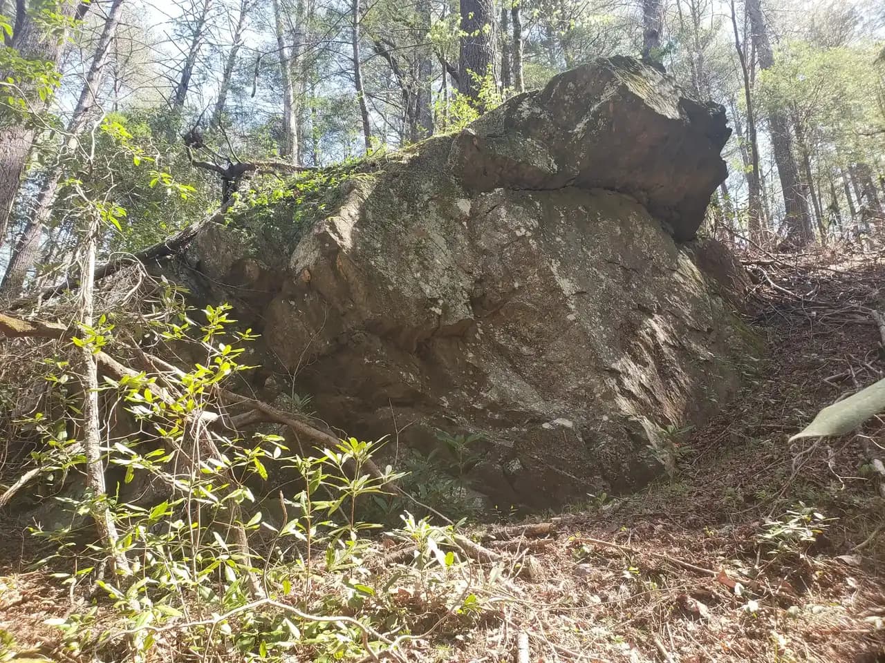 Big Rock granite outcropping in Sumter National Forest, South Carolina