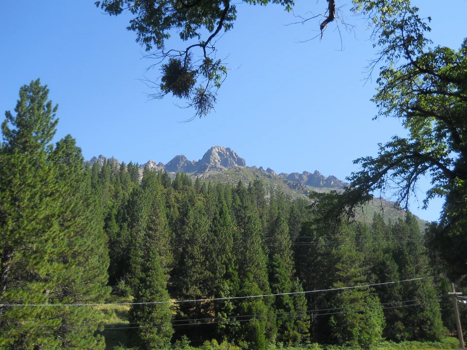 Sierra Buttes granite peaks rising above forested ridges in Tahoe National Forest, California