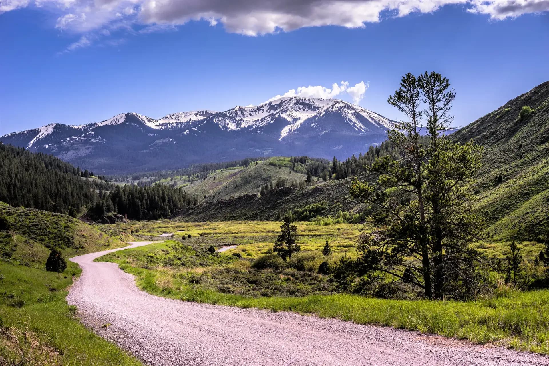 Caribou Mountain from McCoy Creek Road in Caribou-Targhee National Forest, Wyoming