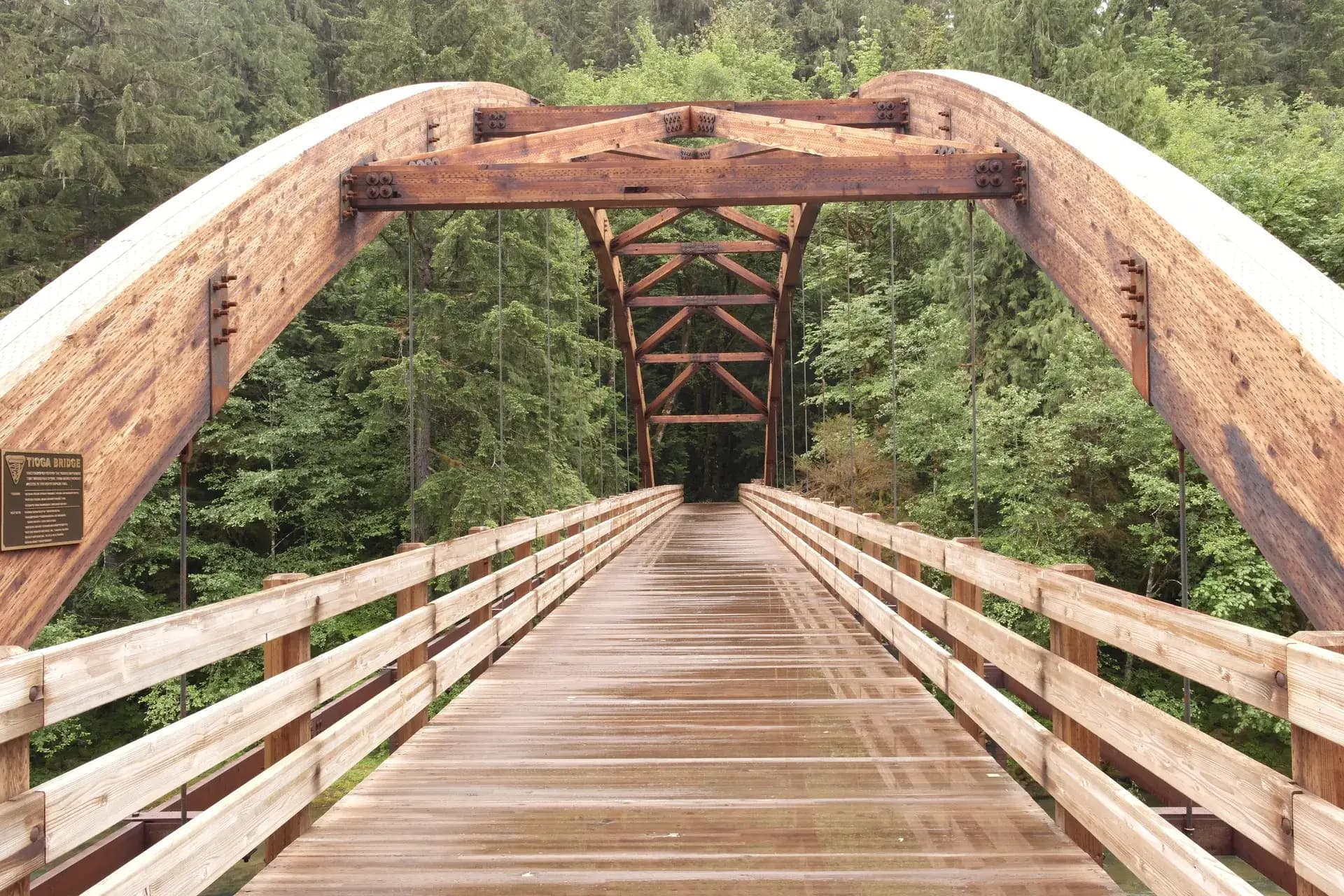 Tioga Creek bridge surrounded by old-growth forest in Umpqua National Forest, Oregon