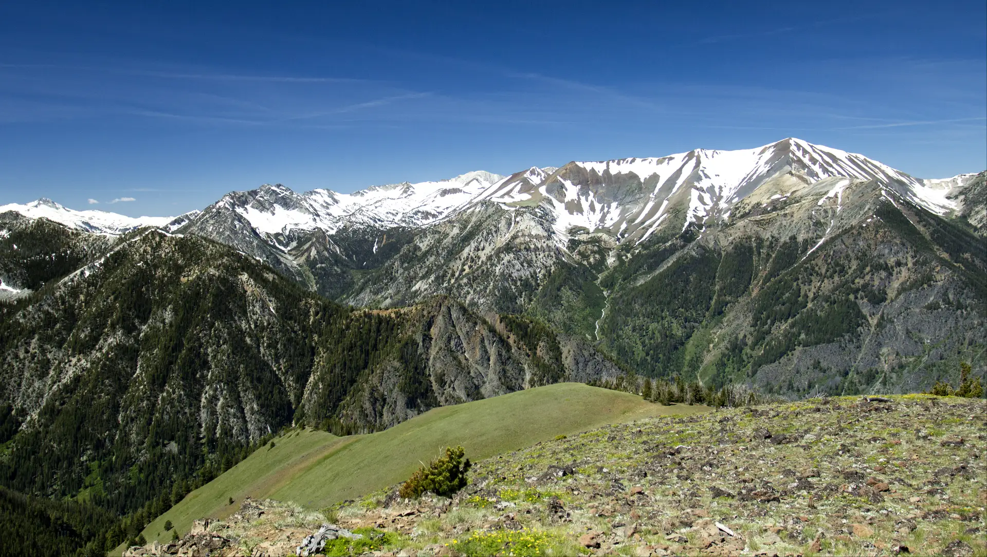Snow-capped Wallowa Mountains with alpine meadow foreground in Eagle Cap Wilderness, Wallowa-Whitman National Forest, Oregon