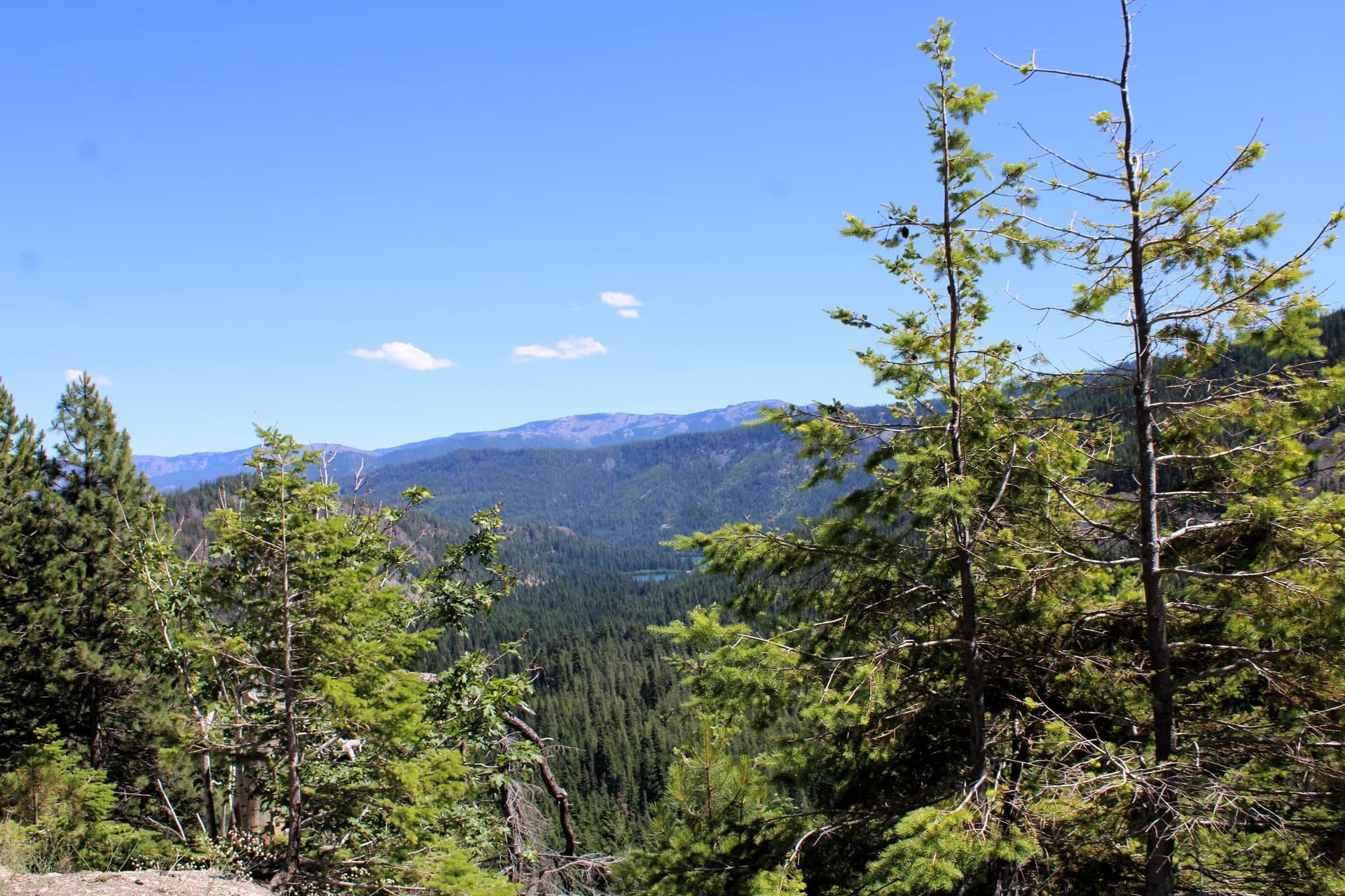 Forest valley and mountain slopes in Wenatchee National Forest, Washington