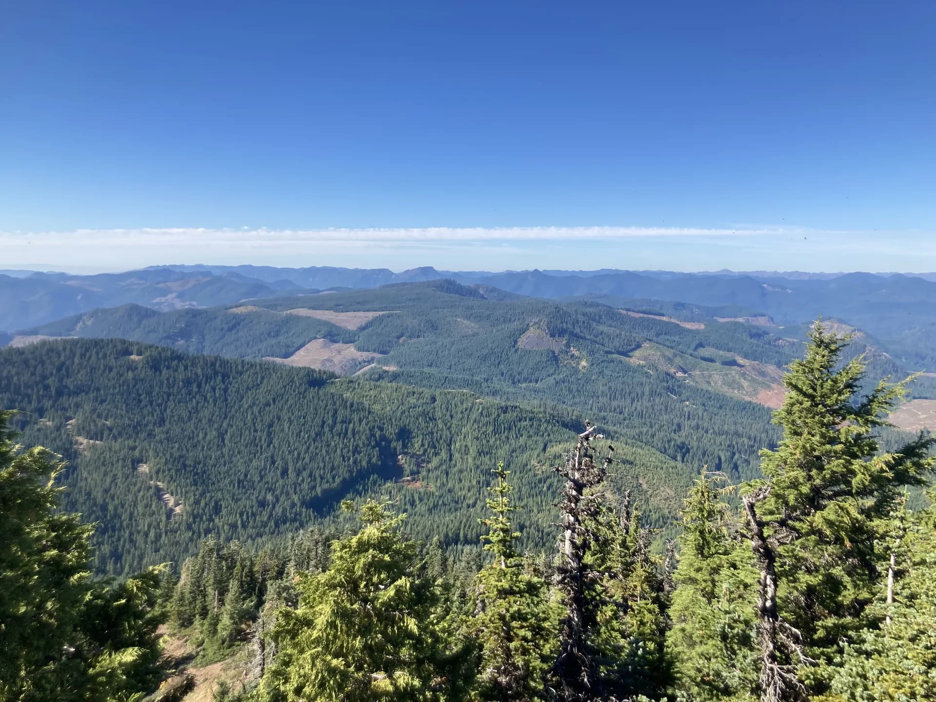 Cascades panorama with wildflower meadows from Iron Mountain Trail in Willamette National Forest, Oregon