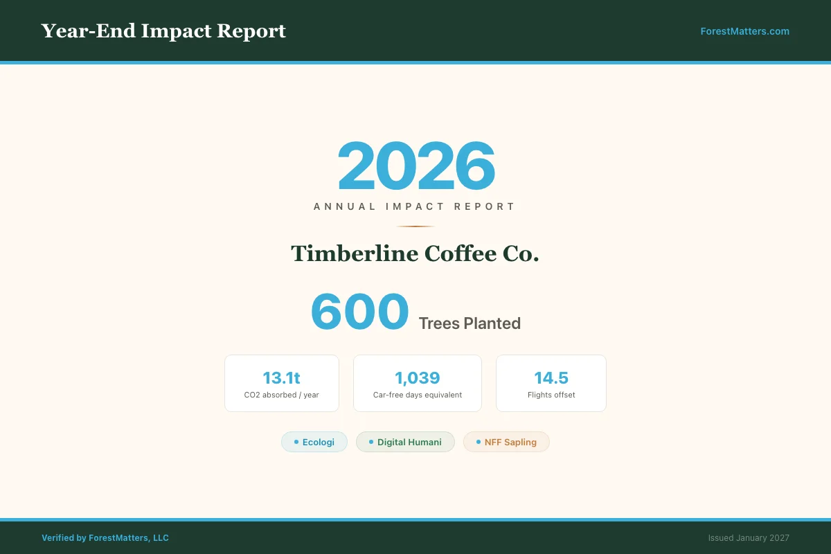 ForestMatters year-end impact report cover page